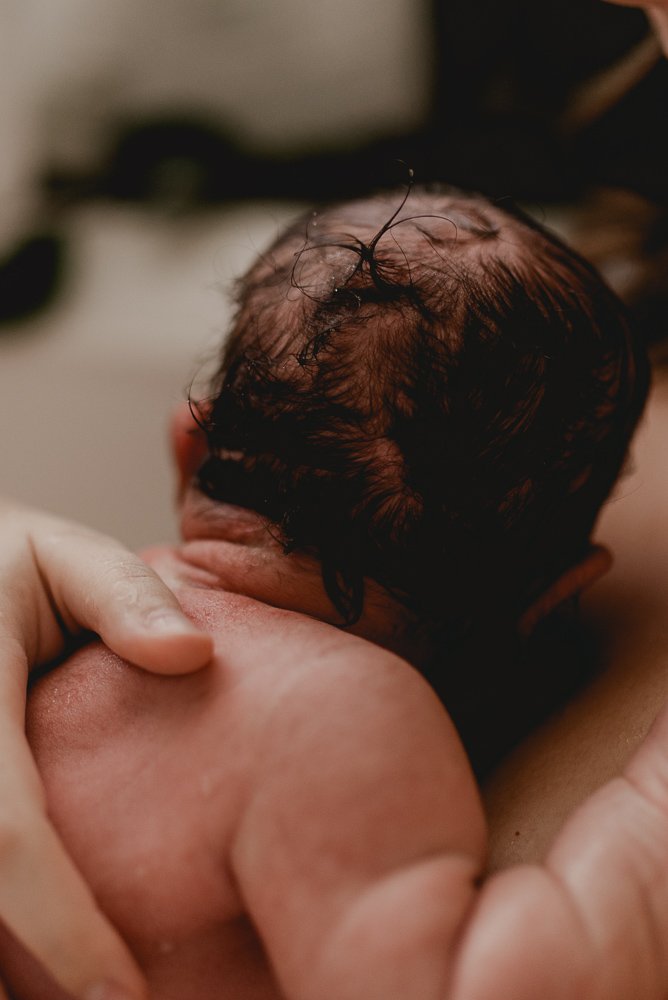 Close up of newborn baby's wet head of dark brown hair