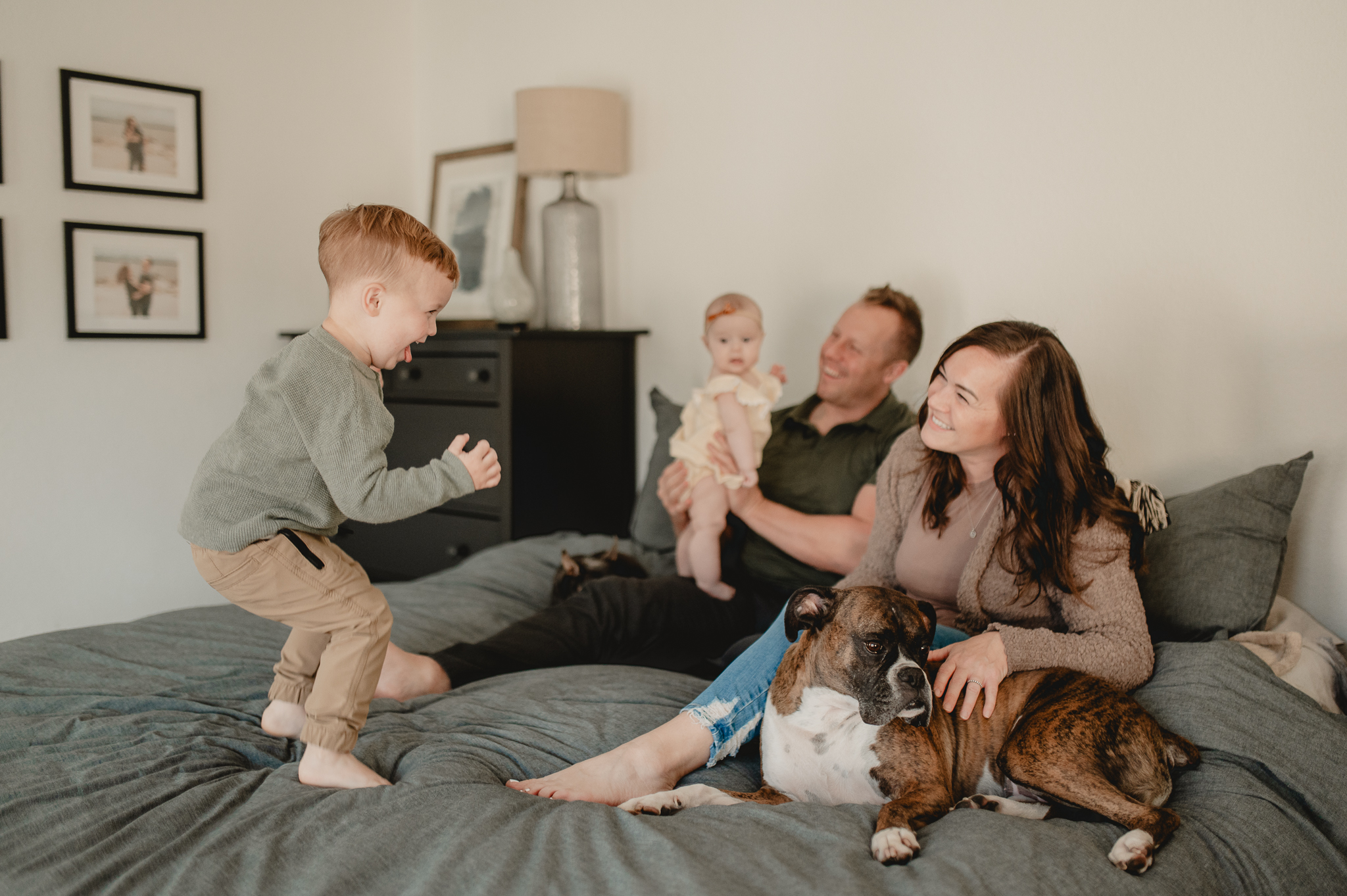 little boys jumps on his parents bed with the dogs and his parents and little sister snuggle at their in home photo session